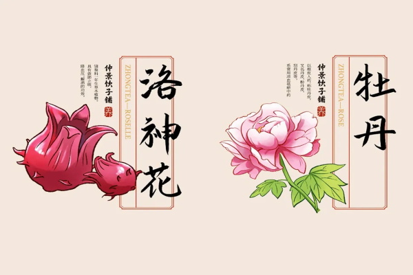 南阳仲景饮子铺加盟公司